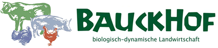 Zur Startseite wechseln